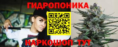 сатива Апшеронск