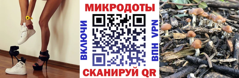 Галлюциногенные грибы мухоморы  mega онион  Балашиха  цены  