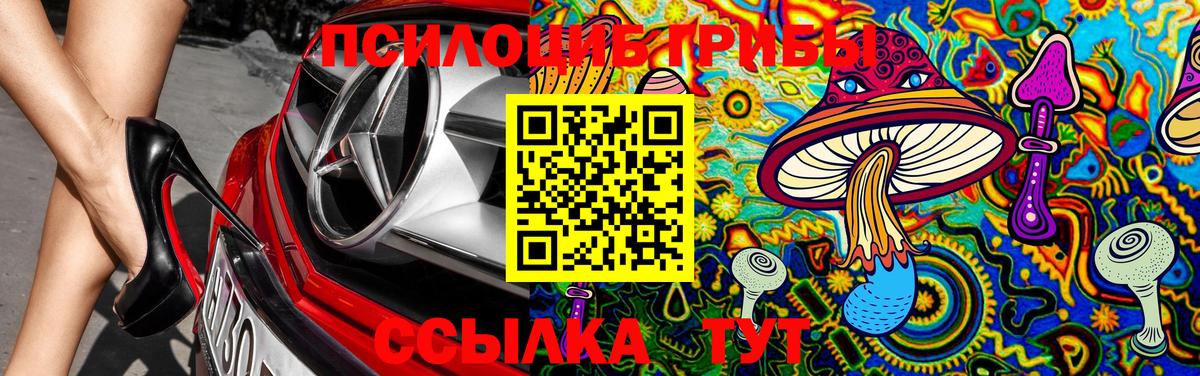 Псилоцибиновые грибы MAGIC MUSHROOMS Балашиха