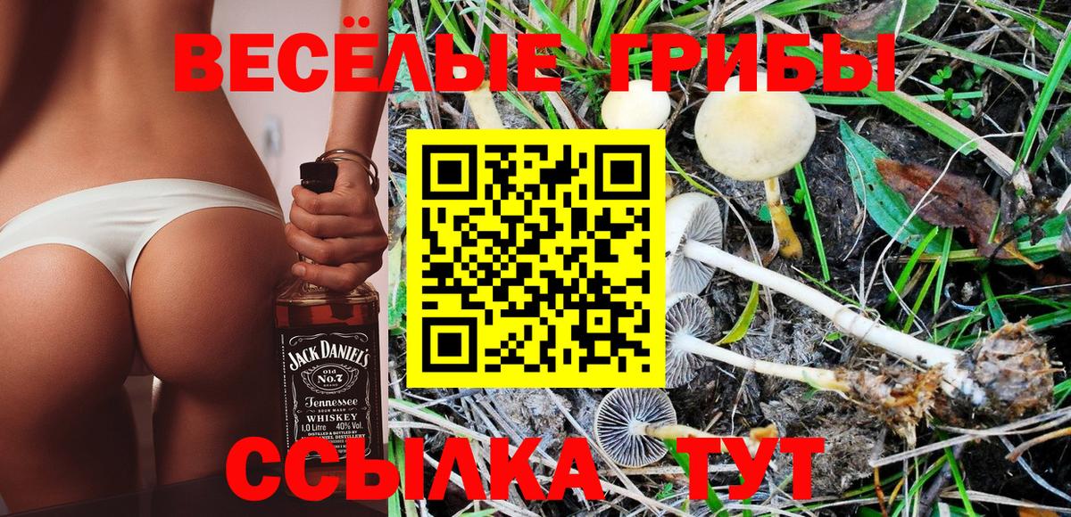 Псилоцибиновые грибы Psilocybine cubensis Балашиха