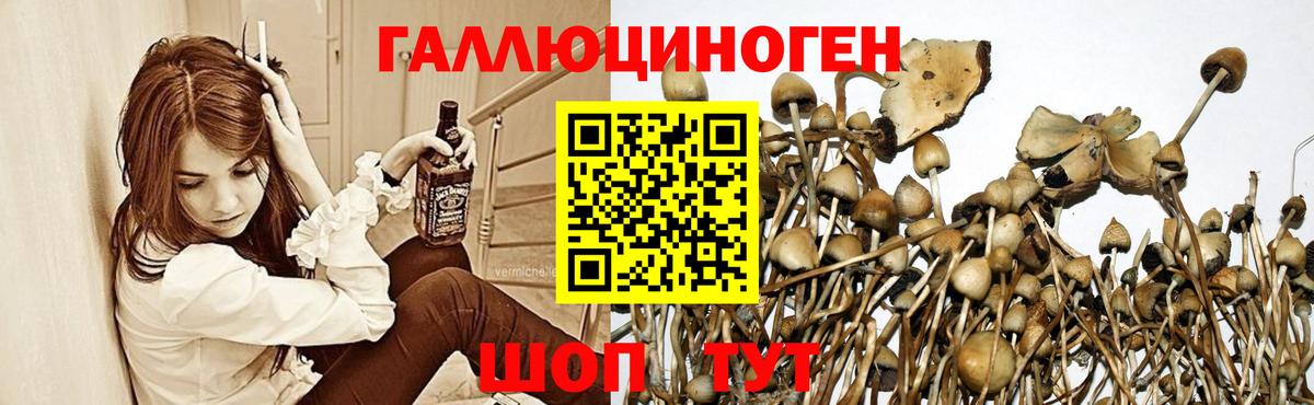 Галлюциногенные грибы ЛСД  Вход с VPN  Балашиха 