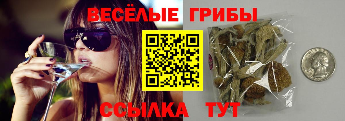 МЕФ   Марихуана  Кокаин  ГАШИШ  Балашиха  Вход с VPN 