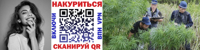 закладки Балашиха Конопля гибрид